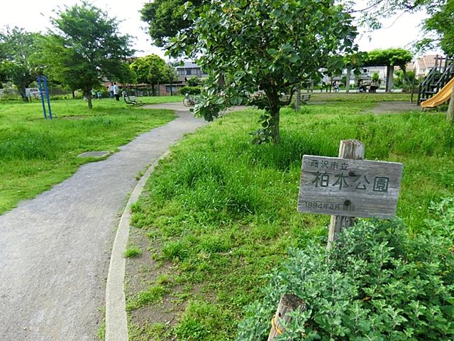 park. 160m to Kashiwagi Park