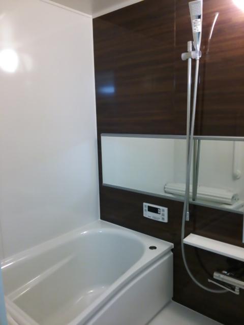 Bathroom. Indoor (12 May 2013) Shooting