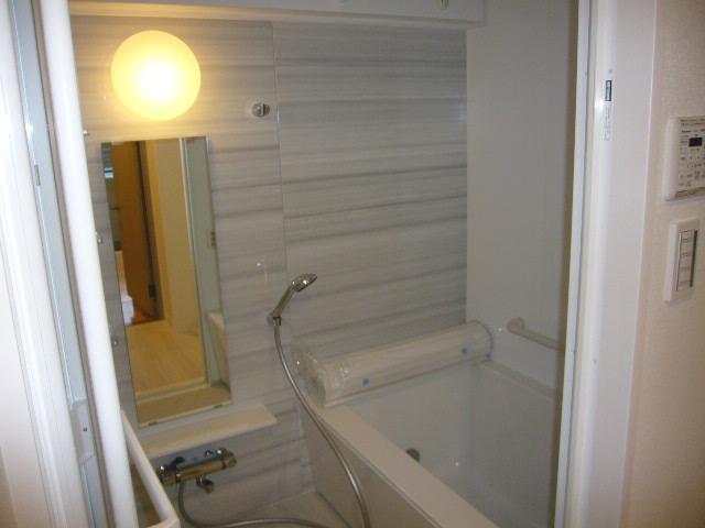 Bathroom. Indoor (10 May 2013) Shooting