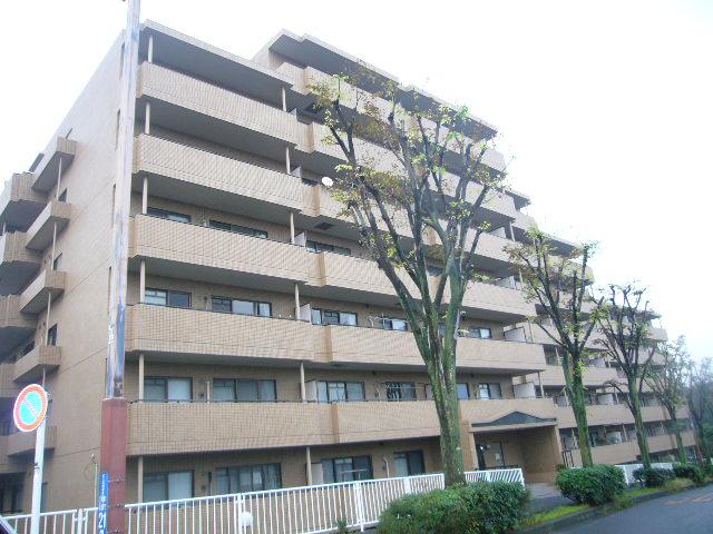 Local appearance photo. Local (10 May 2013) Shooting