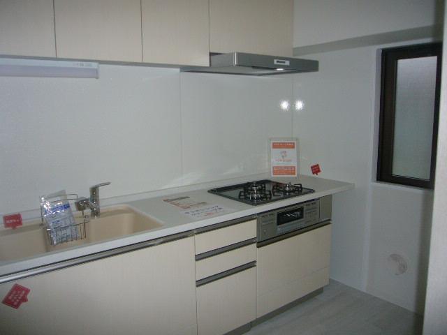 Kitchen. Indoor (10 May 2013) Shooting