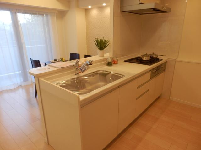 Kitchen. Indoor (10 May 2013) Shooting