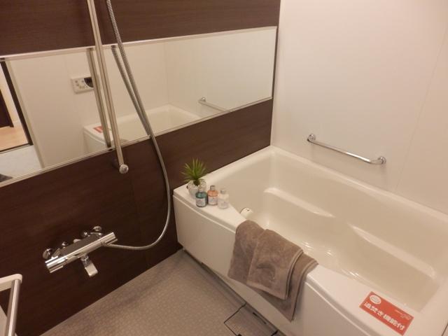 Bathroom. Indoor (10 May 2013) Shooting