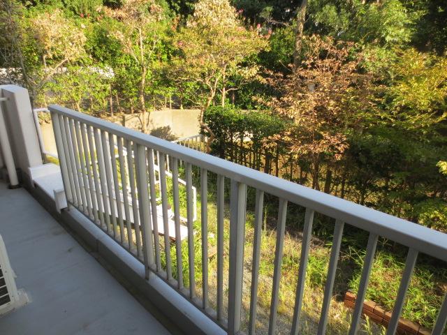 Garden. Local (September 2013) Shooting