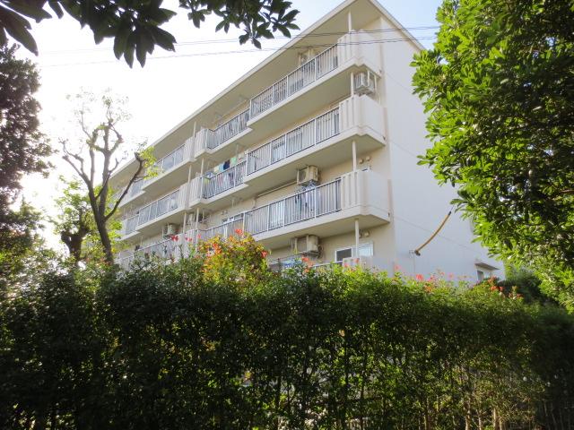 Local appearance photo. Local (September 2013) Shooting