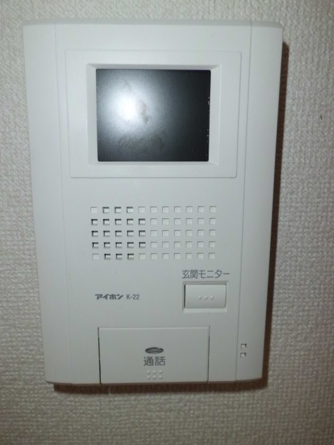 Security. Monitor with intercom