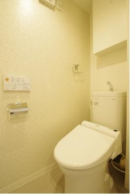 Toilet. Indoor (11 May 2013) Shooting