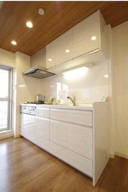 Kitchen. Indoor (11 May 2013) Shooting