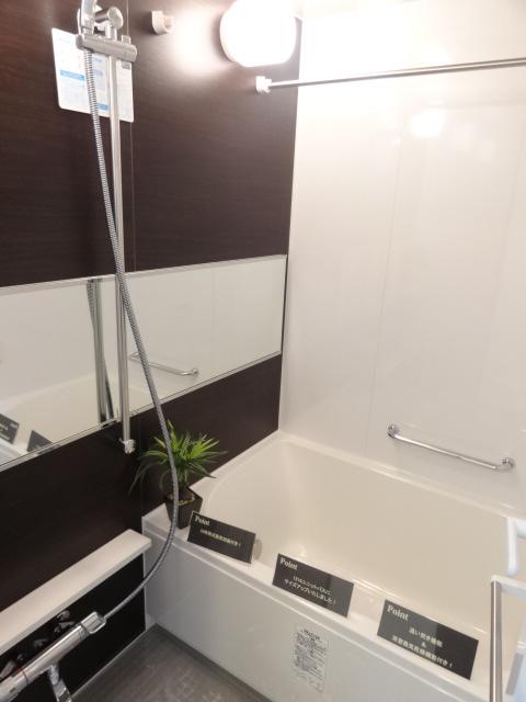 Bathroom. Indoor (12 May 2013) Shooting