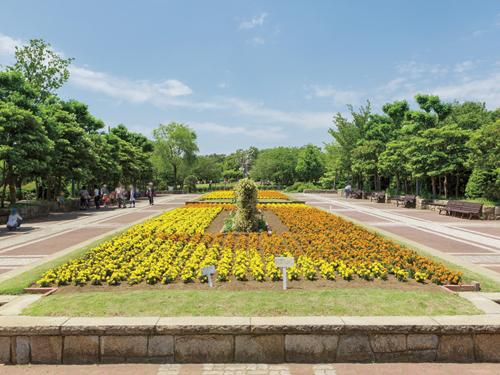 Other. Has become a center of greening activities of Fujisawa "Municipal Nagakubo park" is a 4-minute walk. A variety of plants in the park, Garden tree, And trees are grown, Pleasing all year round eyes.