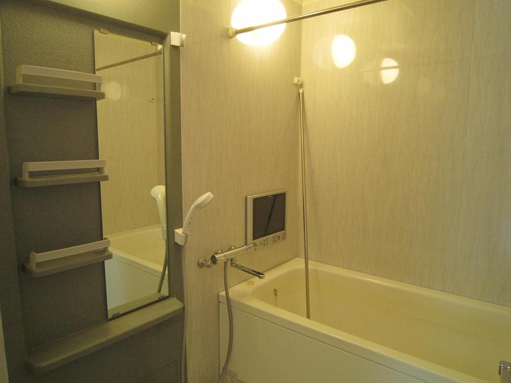 Bathroom. TV with bathroom