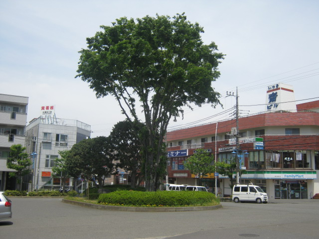 Convenience store. 732m to Family Mart (convenience store)