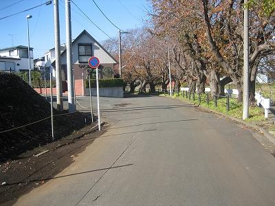 Local photos, including front road. The entire surface of the road 6 meters!