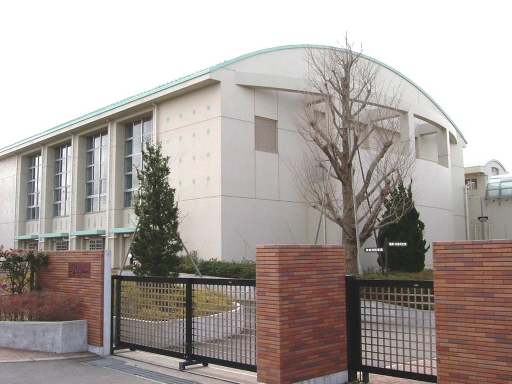 Primary school. Mutsuai elementary school