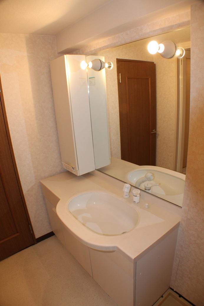 Wash basin, toilet. Room (August 2013) Shooting