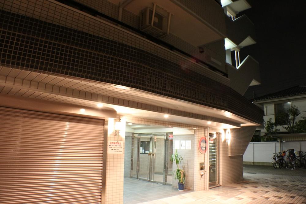 Entrance. Common areas