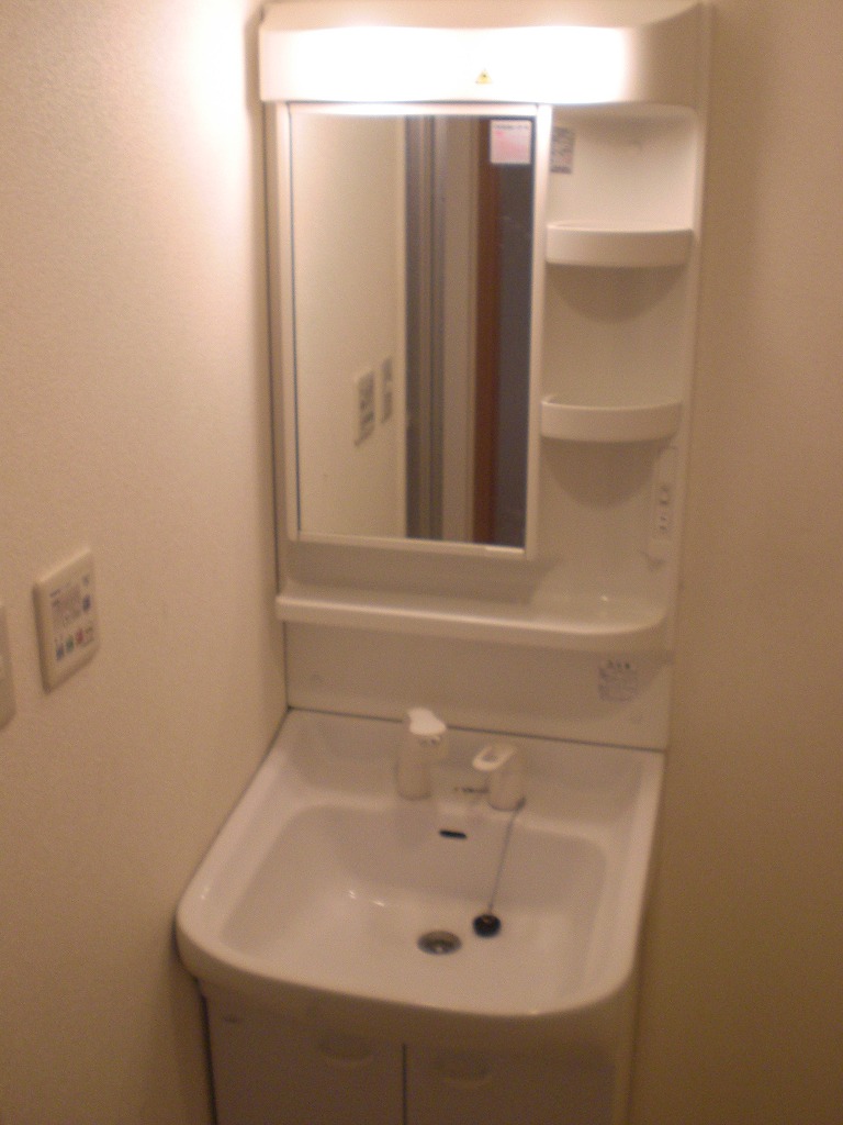 Washroom. The comfort shampoo dresser