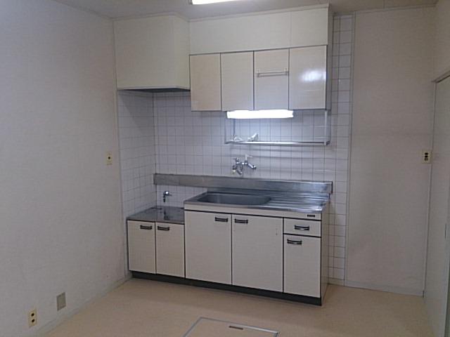 Kitchen. Indoor (11 May 2013) Shooting