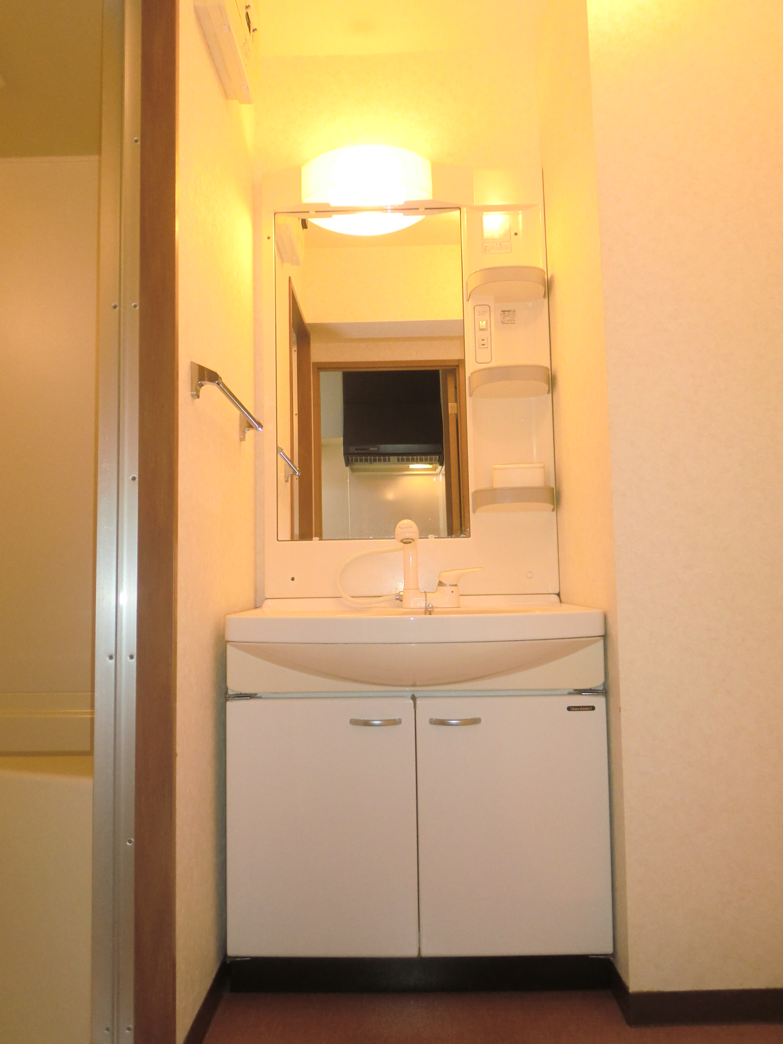 Washroom. Washbasin with shower Dresser