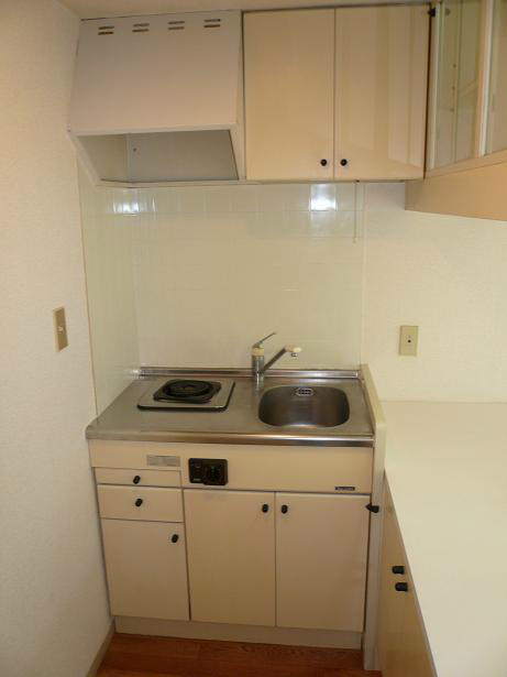 Kitchen. There is installed 1-neck electric Con