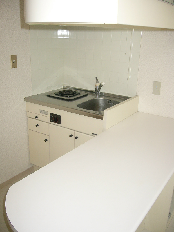 Kitchen. Counter Kitchen