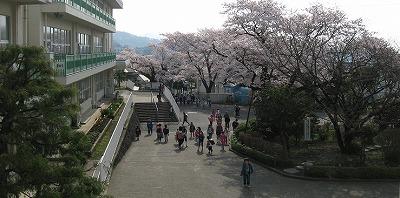Primary school. Hadano Tatsukita to elementary school 1646m