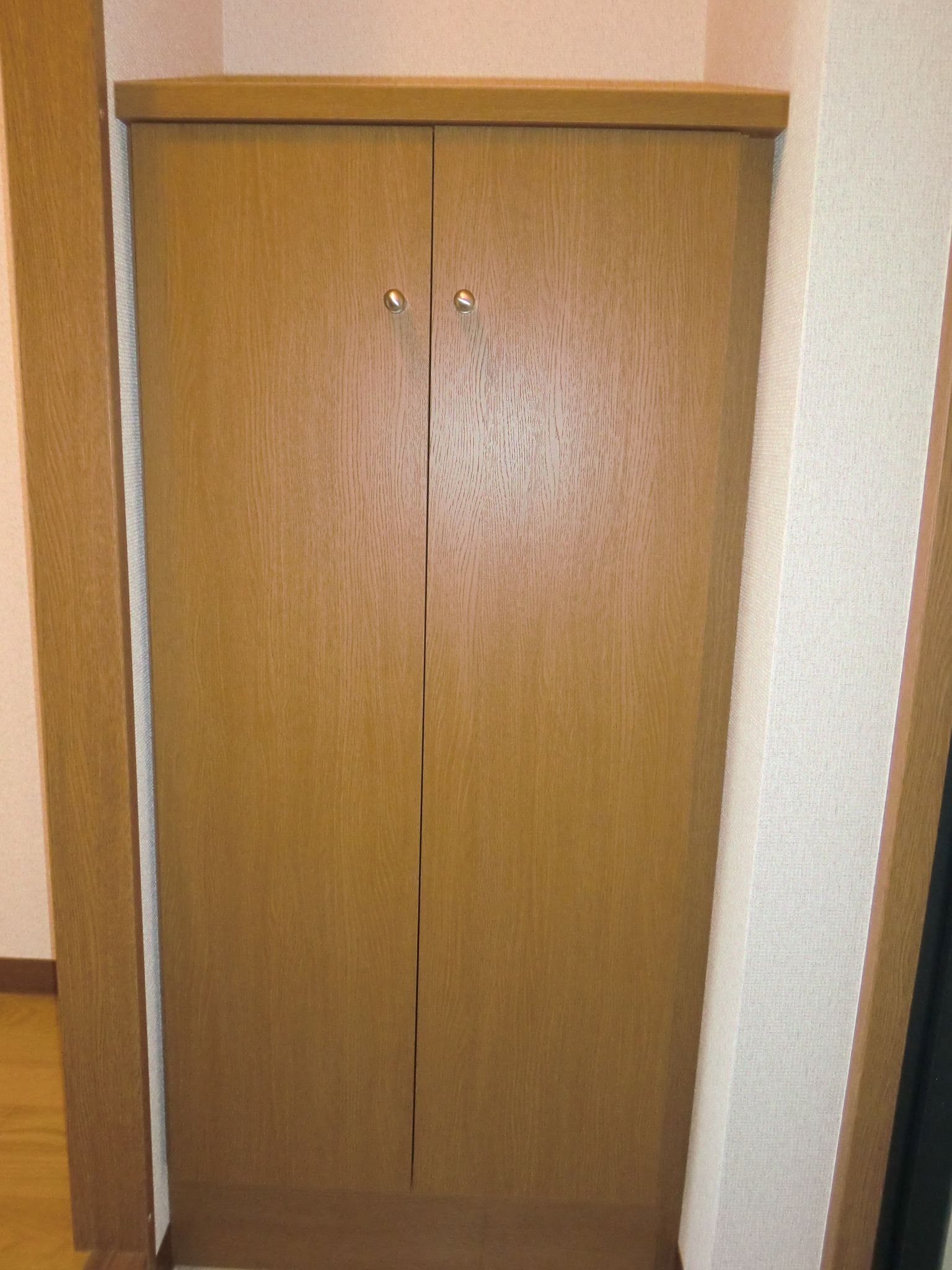 Entrance. Cupboard