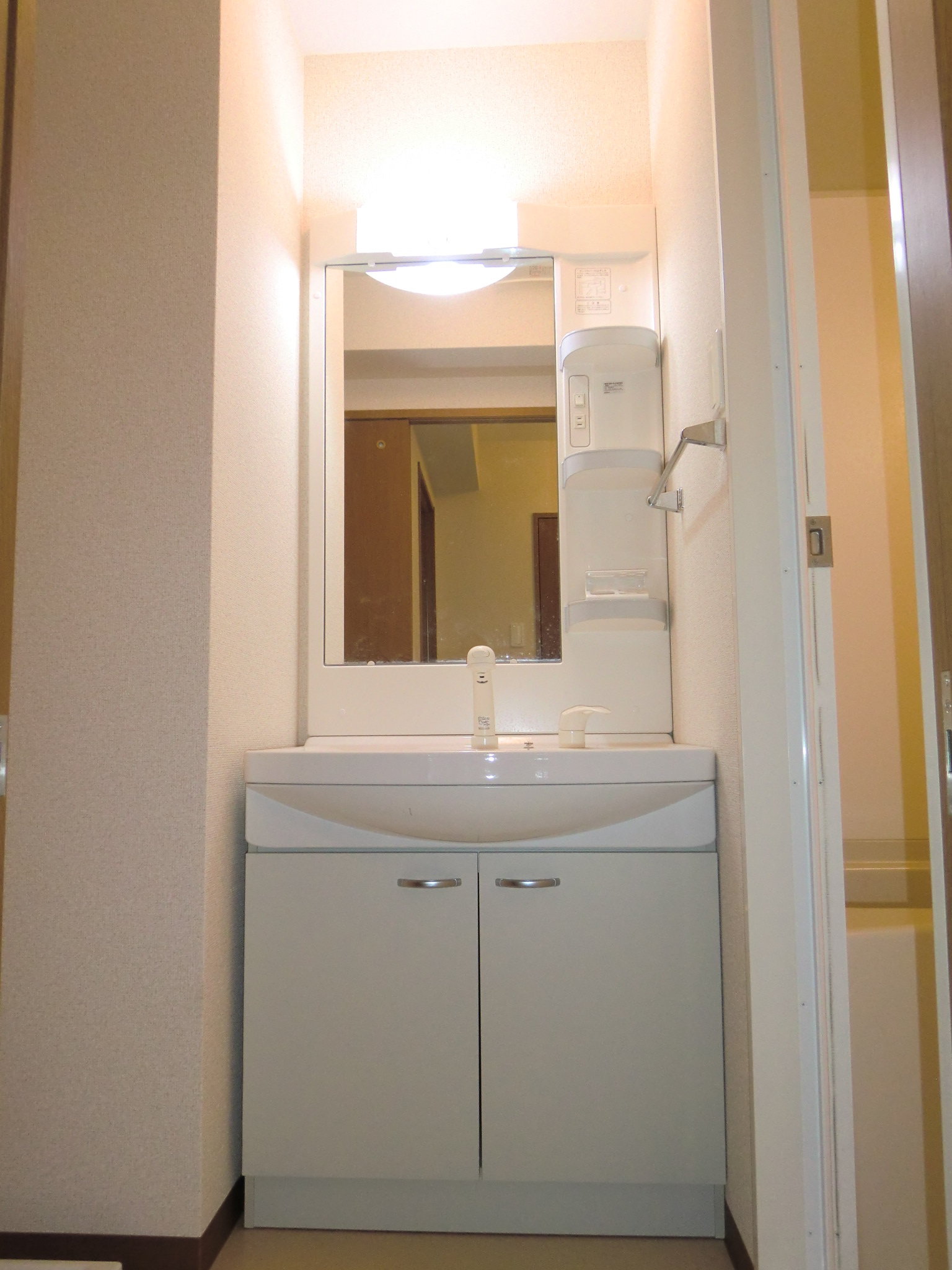 Washroom. Washbasin with shower Dresser