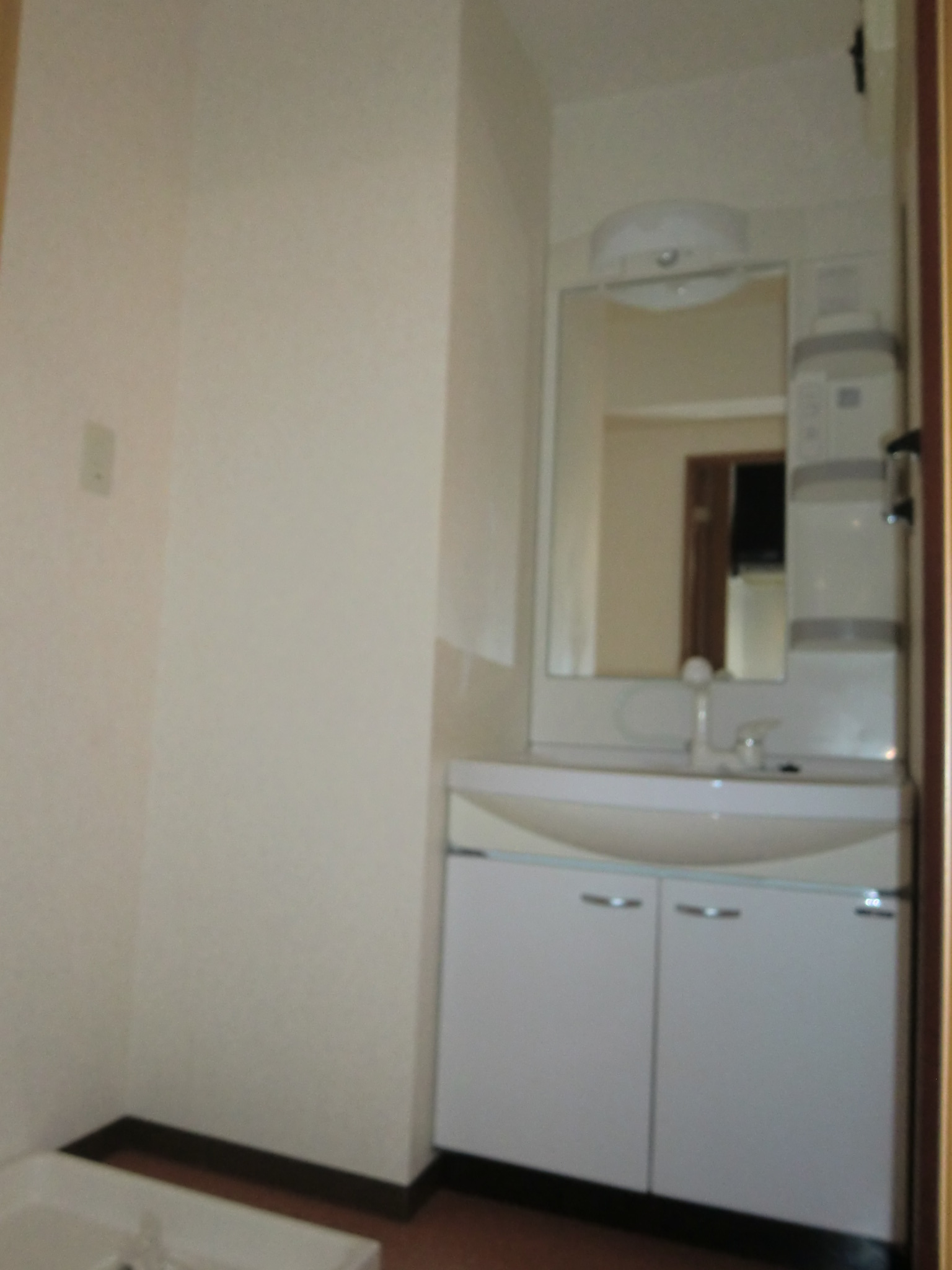 Washroom. Washbasin with shower Dresser