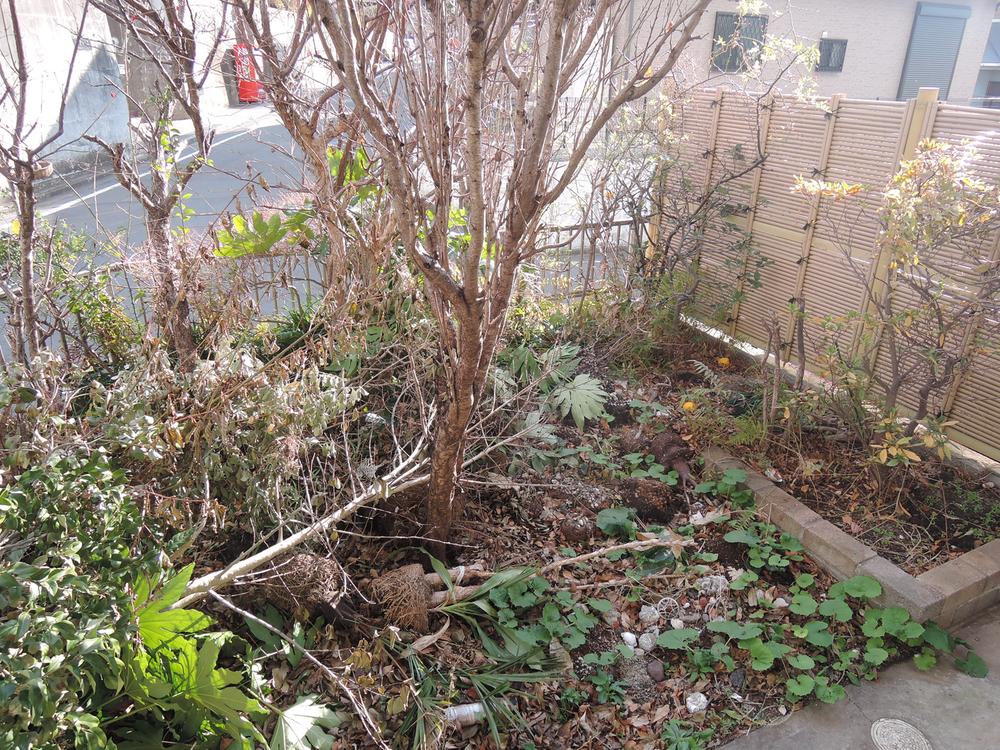 Garden. Local (12 May 2013) Shooting