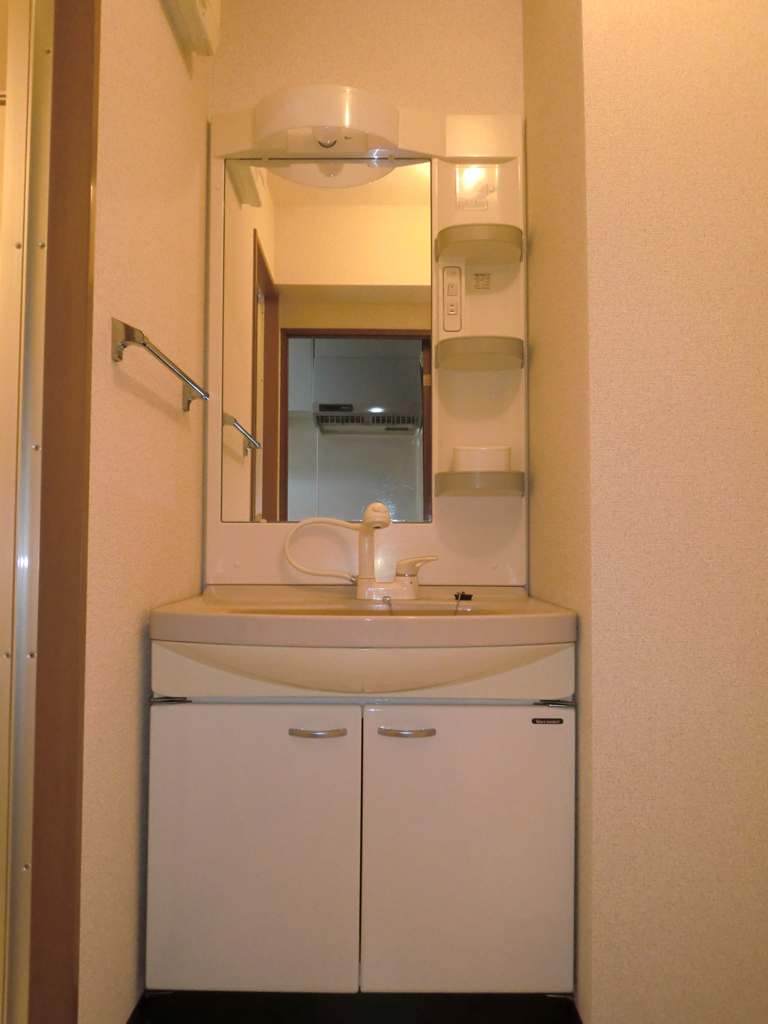Washroom. Washbasin with shower Dresser