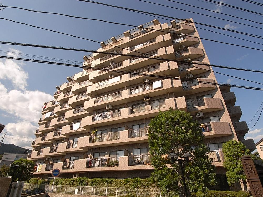 Local appearance photo. Local (September 2013) Shooting