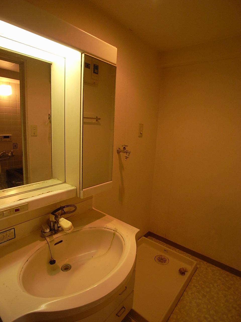 Wash basin, toilet. Indoor (September 2013) Shooting