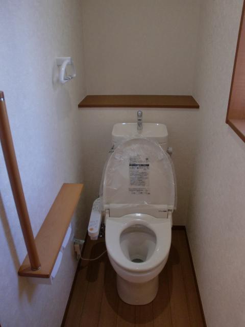 Toilet. Interior (November 2013) Shooting