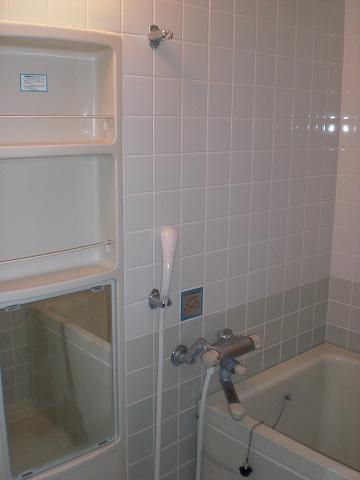 Bathroom. Indoor shooting