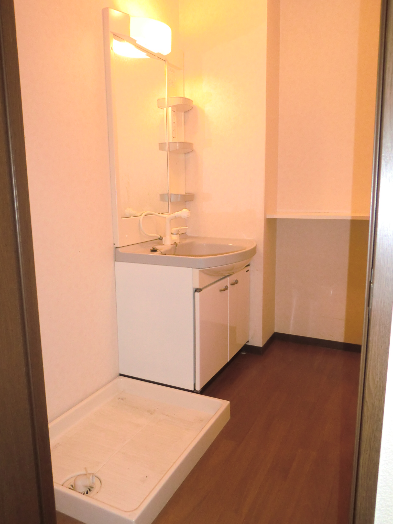 Washroom. Washbasin with shower Dresser ・ Laundry Area