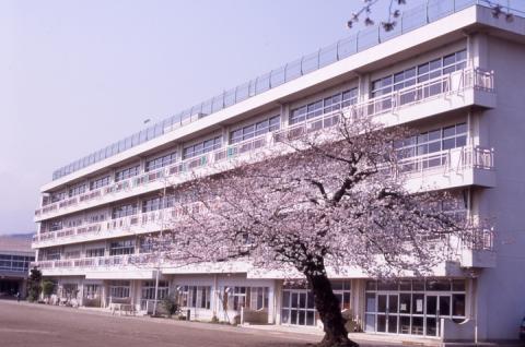 Primary school. Hadano 1336m to stand radish elementary school (elementary school)