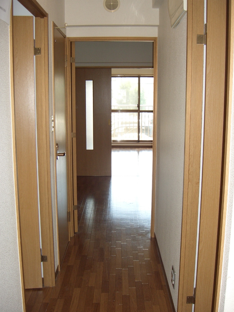 Living and room. Corridor Will be inverted type of photo.