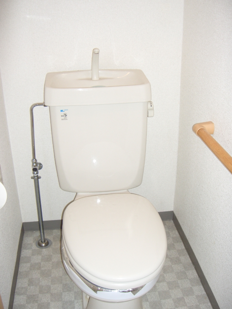 Toilet. toilet Will be inverted type of photo.