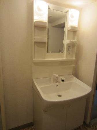 Washroom. Shampoo dresser