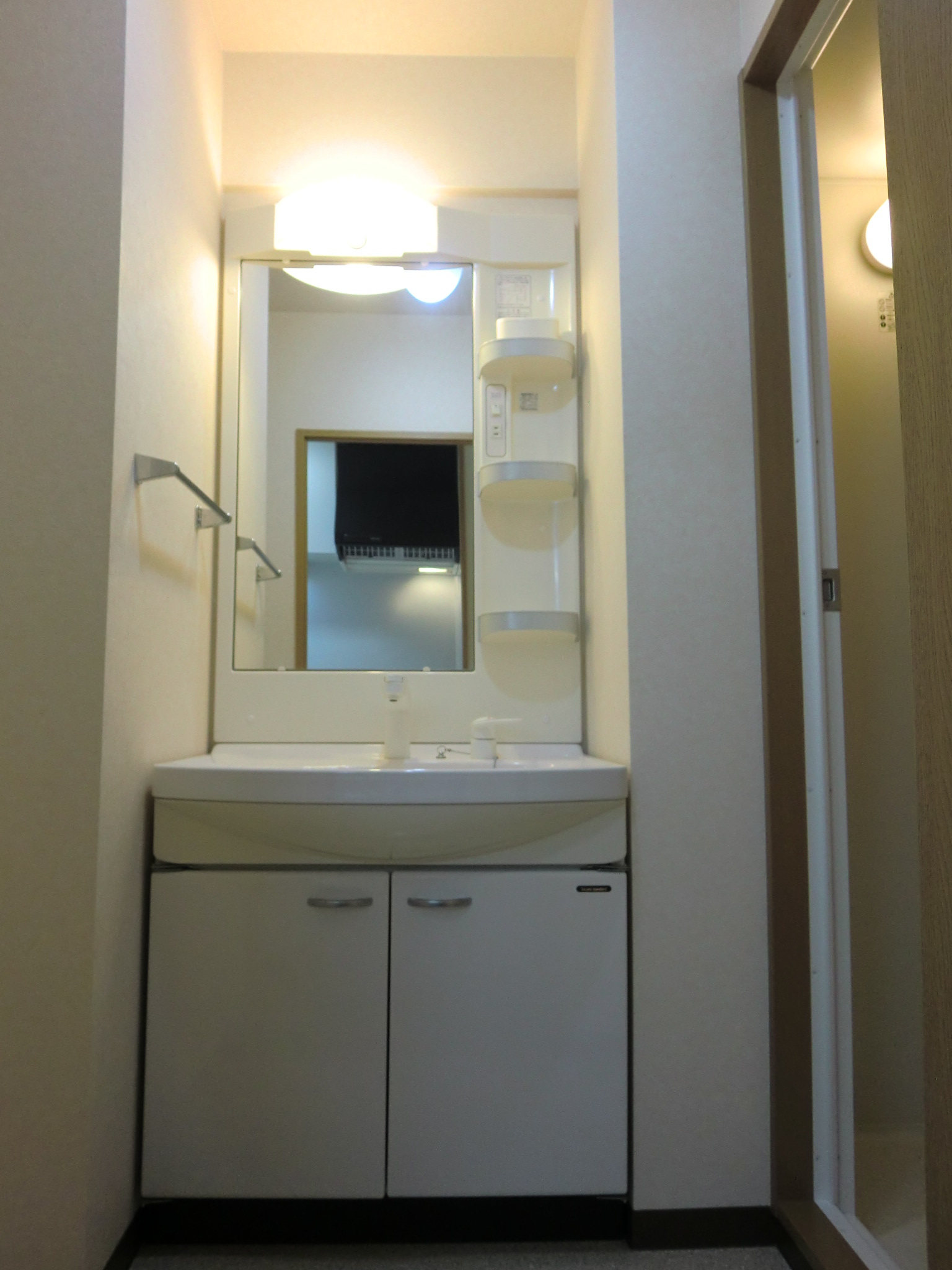 Washroom. Washbasin with shower Dresser