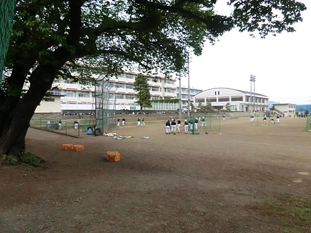 Junior high school. Hadano Minami until junior high school 951m