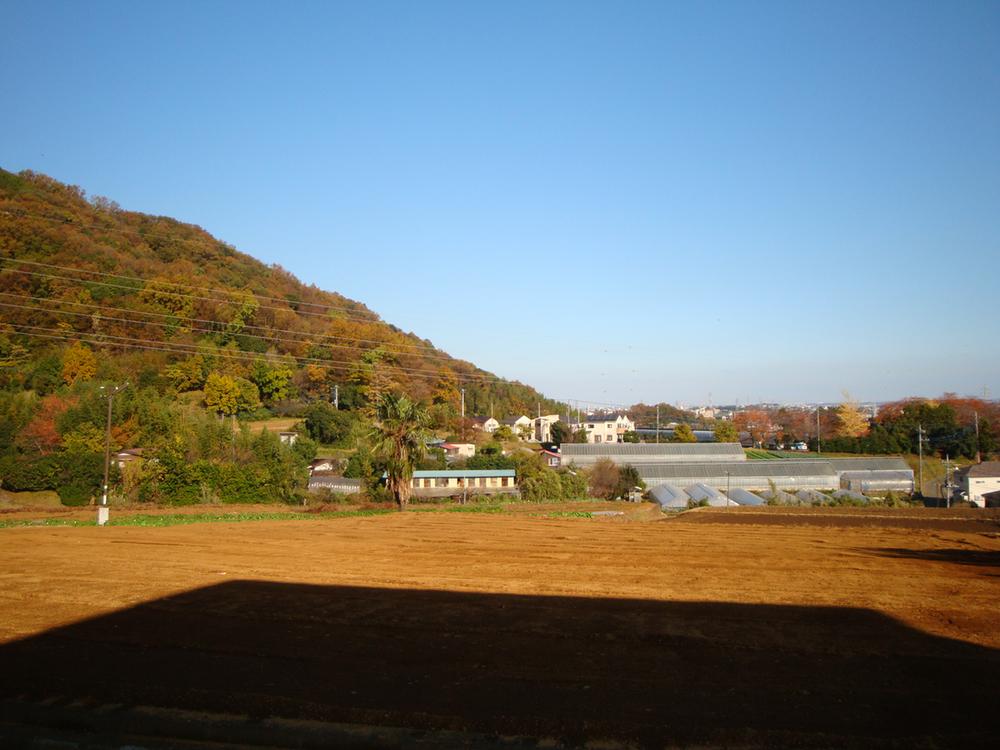 Other. Surrounding environment (the view from the entire surface of the road)