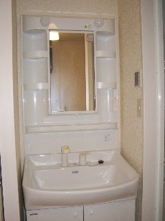 Washroom. Wash basin