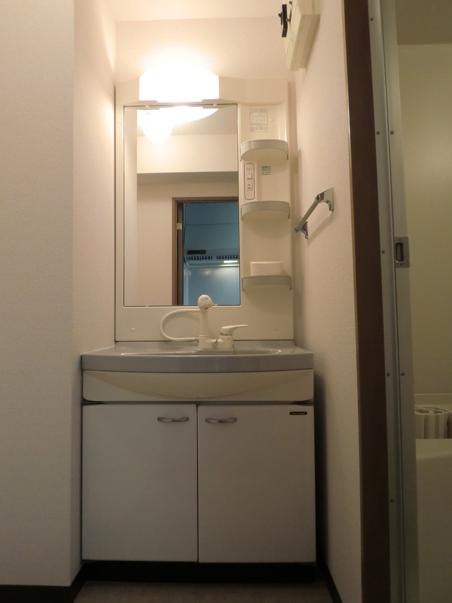 Washroom. Washbasin with shower Dresser