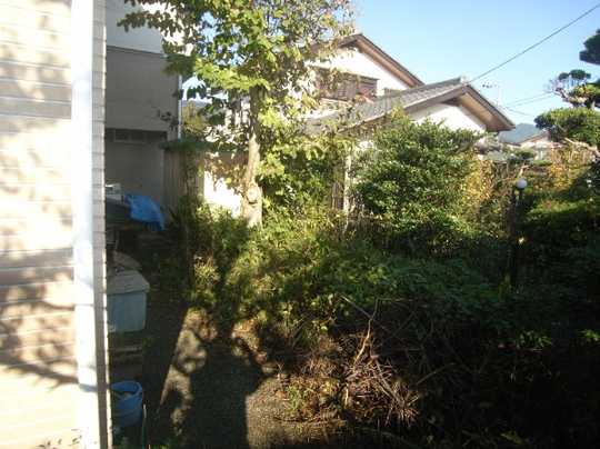 Local appearance photo. appearance. 2013 November shooting.