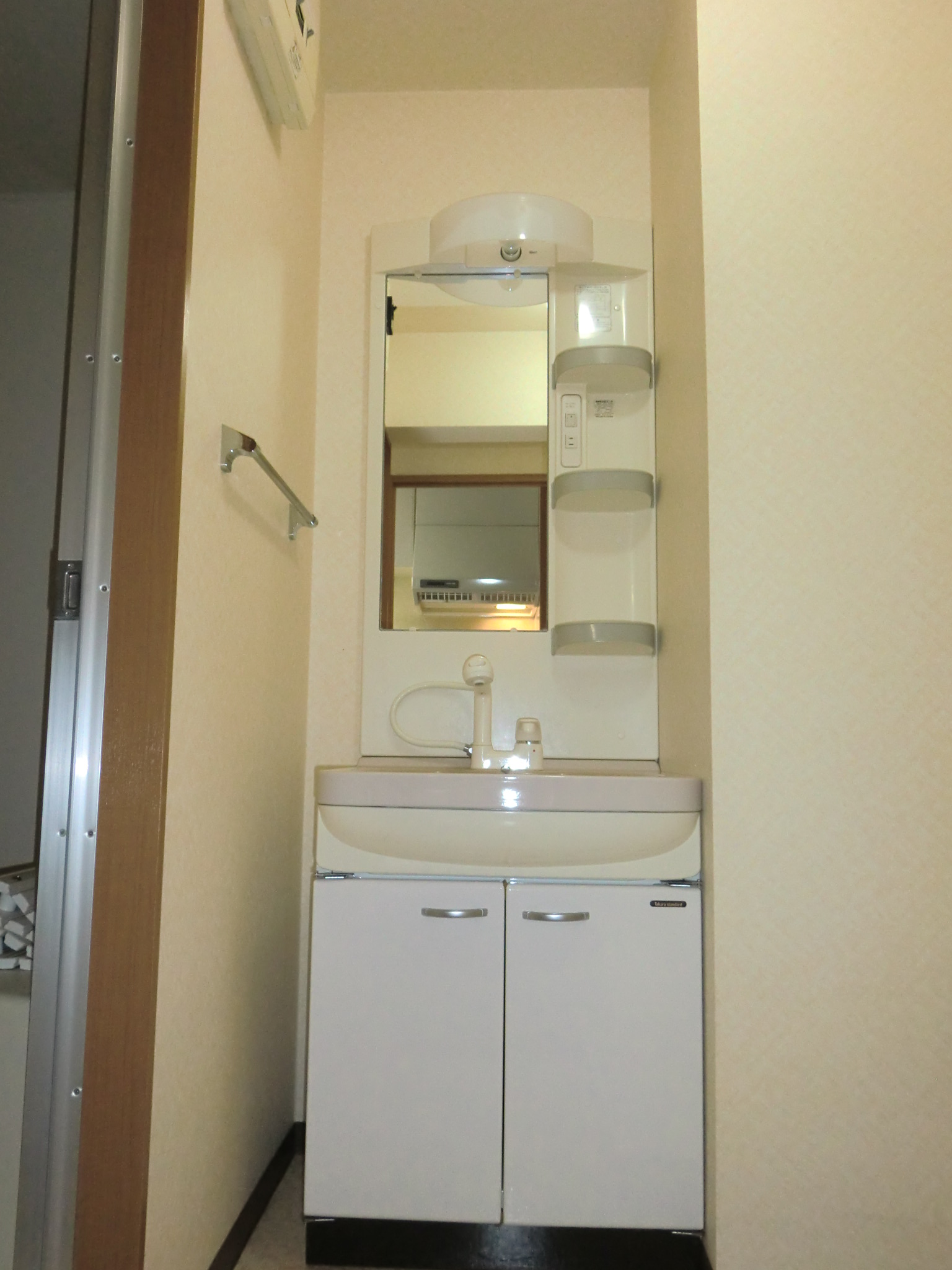 Washroom. Washbasin with shower Dresser
