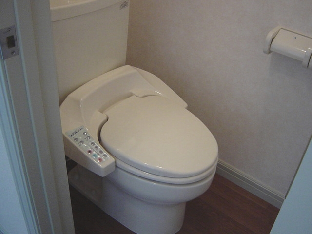 Toilet. Pat with also warm water washing toilet seat! 