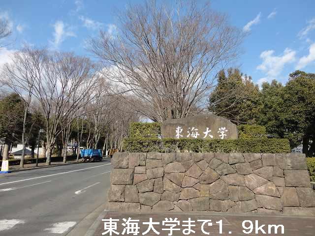 University ・ Junior college. Tokai University (University of ・ 1900m up to junior college)