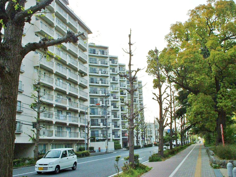 Local appearance photo. appearance